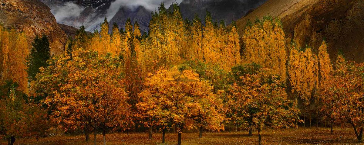 Hunza Valley - Hunza Valley Guide - Hunza Valley Travel Guide - Travel Guide to Hunza Valley - Information about Hunza Valley - about Hunza Valley - About Hunza - Hunza Valley Information – hunza tour packages – trip to hunza – hunza city – hunza valley tour – hunza trip – the hunza – hunza valley Kashmir – hidden paradise hunza – trip to hunza valley – tour de hunza – tour packages to hunza – hunza ganish - blog image - nomanshabbir.com - noman shabbir travel blogger - noman shabbir travel vlogger - noman shabbir landscape photographer - travel blog - travel vlog - Hunza Valley in Autumn